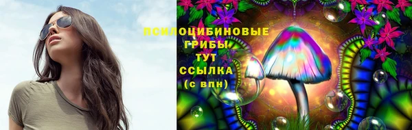 эйфоретик Киреевск