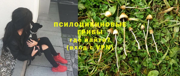 эйфоретик Киреевск